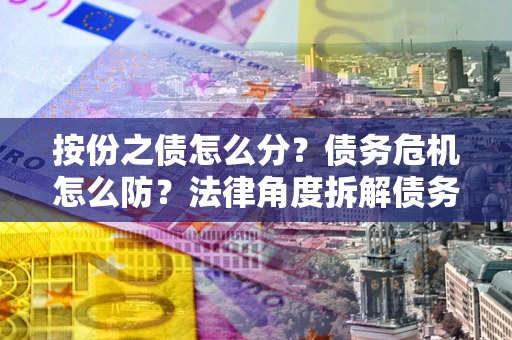 武汉按份之债怎么分？债务危机怎么防？法律角度拆解债务分配与风险自保指南