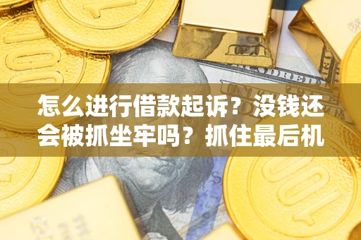 武汉怎么进行借款起诉？没钱还会被抓坐牢吗？抓住最后机会！