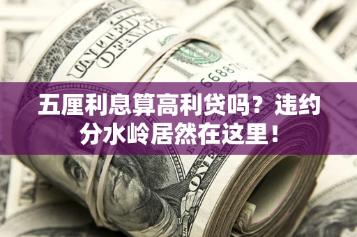 武汉五厘利息算高利贷吗？违约分水岭居然在这里！