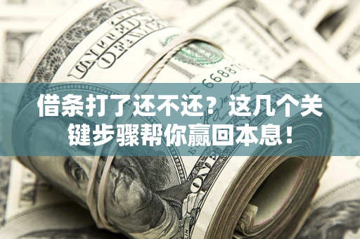 武汉借条打了还不还？这几个关键步骤帮你赢回本息！