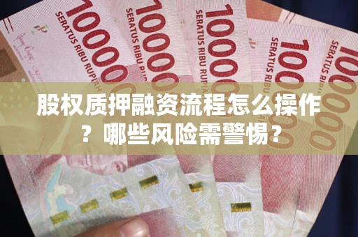 武汉股权质押融资流程怎么操作？哪些风险需警惕？
