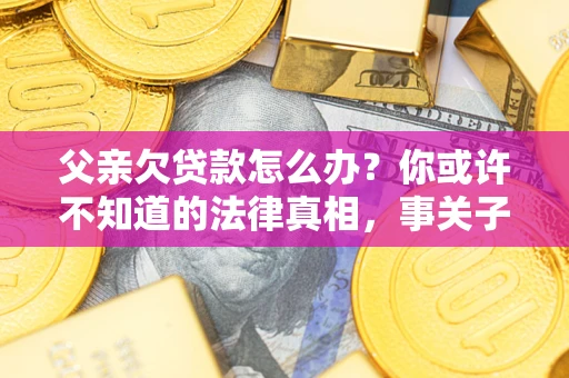 武汉父亲欠贷款怎么办？你或许不知道的法律真相，事关子女未来