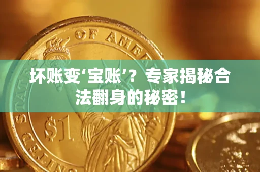 武汉坏账变‘宝账’？专家揭秘合法翻身的秘密！