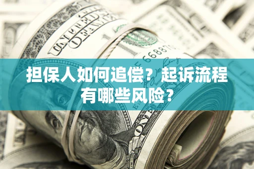 武汉担保人如何追偿？起诉流程有哪些风险？