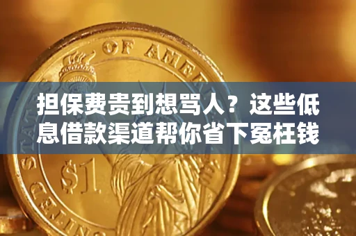 武汉担保费贵到想骂人？这些低息借款渠道帮你省下冤枉钱