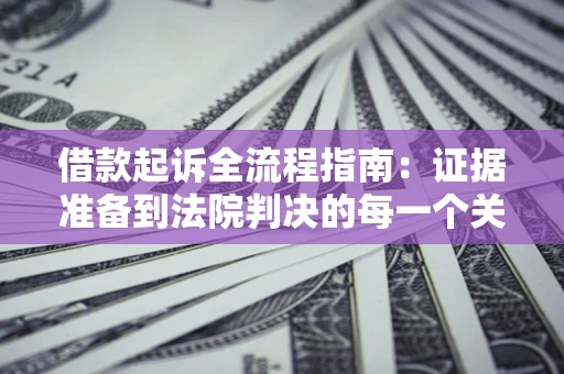 武汉借款起诉全流程指南：证据准备到法院判决的每一个关键步骤