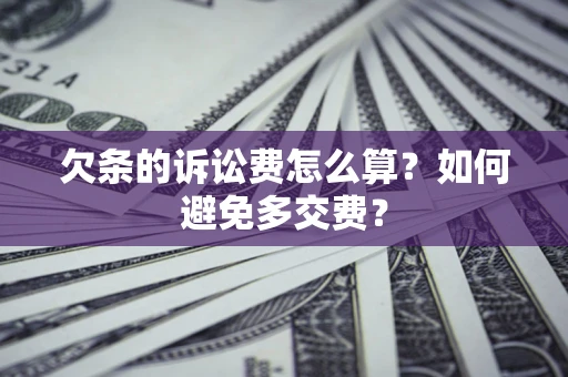武汉欠条的诉讼费怎么算？如何避免多交费？