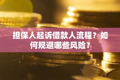 武汉担保人起诉借款人流程？如何规避哪些风险？