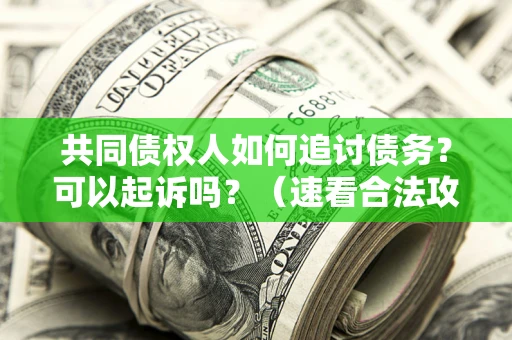 武汉共同债权人如何追讨债务？可以起诉吗？（速看合法攻略）