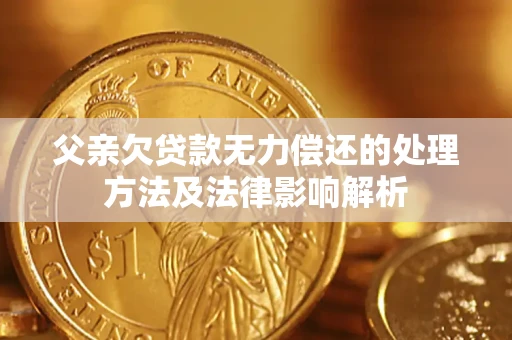 武汉父亲欠贷款无力偿还的处理方法及法律影响解析