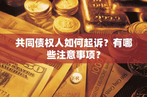 武汉共同债权人如何起诉？有哪些注意事项？